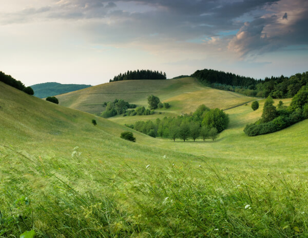 Services services 02