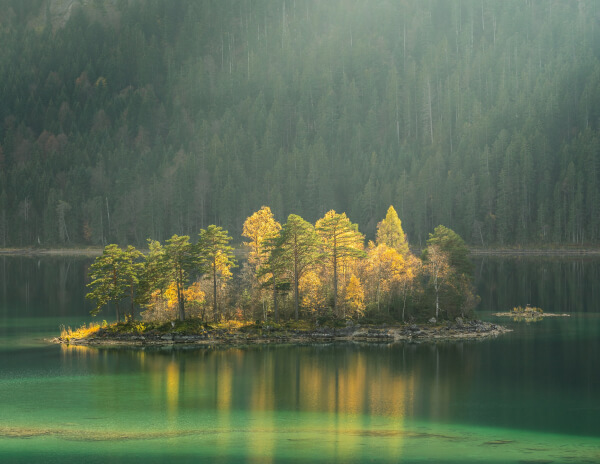 Services services 03